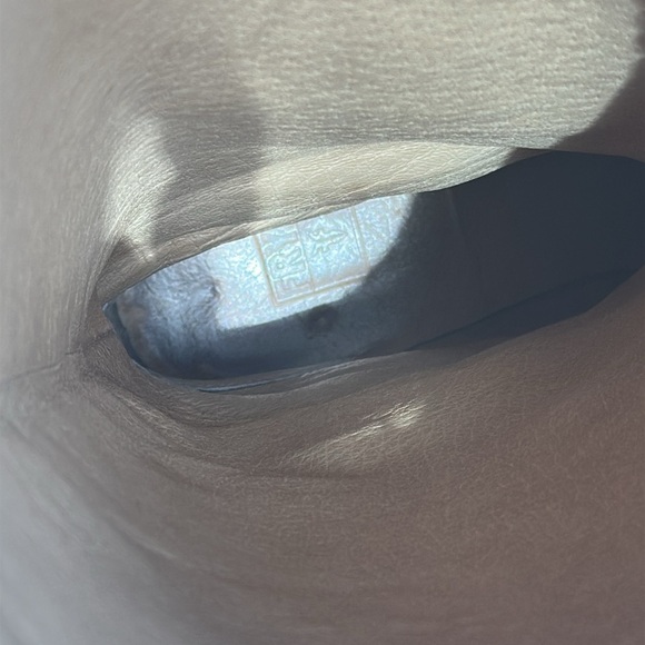 Frye Brown Suede Women’s Knee High Riding Boots Sz 8.5 Leather Brass Details - Picture 9 of 16